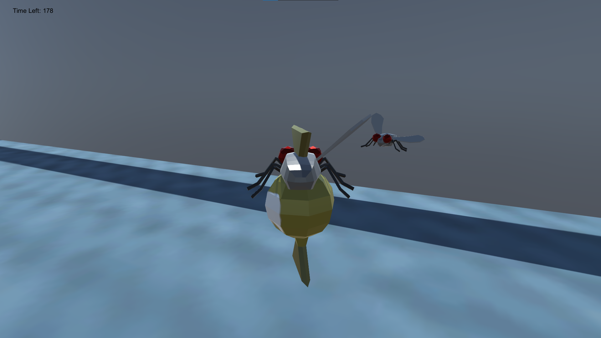 Scott The One Winged Fly